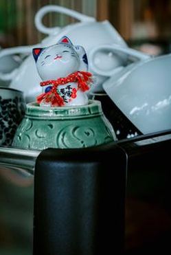 phỏm di động Nohu